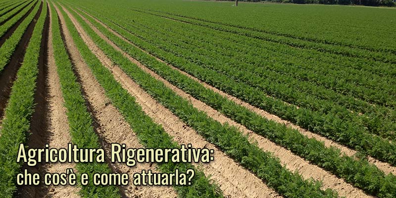 agricoltura-rigenerativa-forigo-roter-italia-header