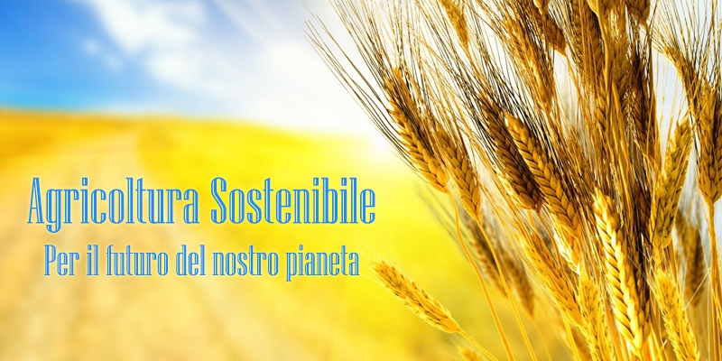 agricoltura-sostenibile.jpg