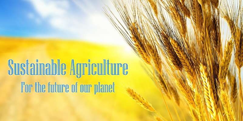 sustainable-agricolture