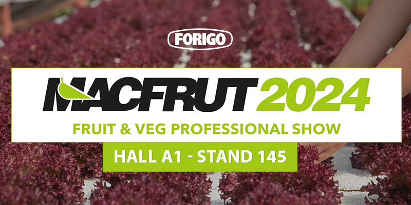 Macfrut 2024: the future of agriculture with Forigo
