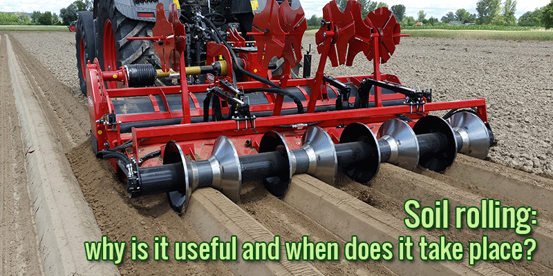 Soil rolling: why is it useful and when does it take place?