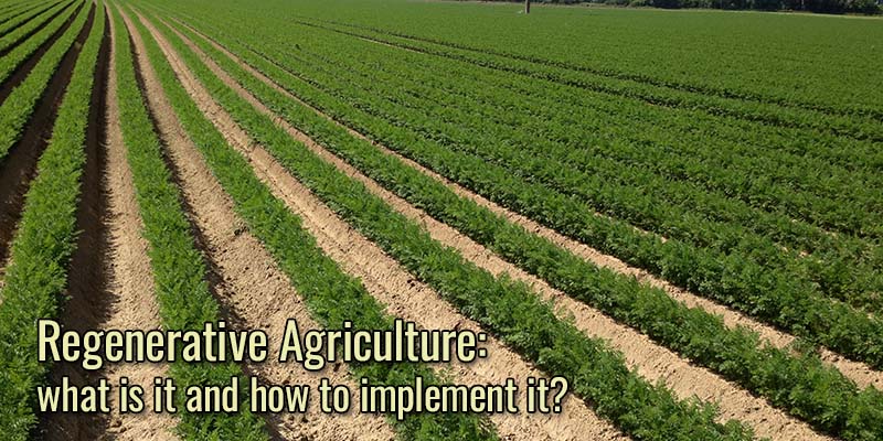 Regenerative Agriculture: what is it and how to implement it?